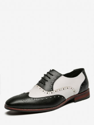 Boty Oxfords Pro Muže Moderní Kulatý Pásek Na Špičce Nastavitelná Pu Kůže Špičky Křidélek Brogues