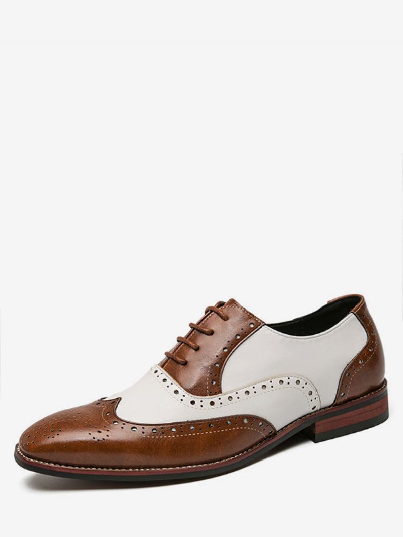 Boty Oxfords Pro Muže Moderní Kulatý Pásek Na Špičce Nastavitelná Pu Kůže Špičky Křidélek Brogues - Kávově Hnědá